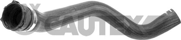 Cautex 766975 - Шланг радіатора autocars.com.ua
