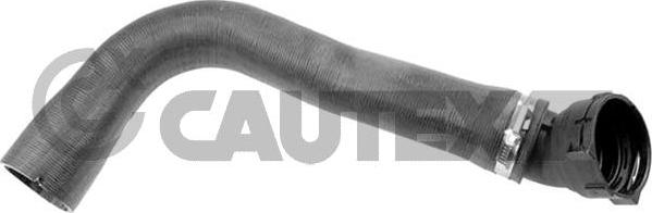 Cautex 766977 - Шланг радіатора autocars.com.ua