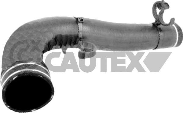 Cautex 767072 - Шланг радіатора autocars.com.ua