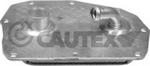 Cautex 768817 - Масляний радіатор, рухове масло autocars.com.ua