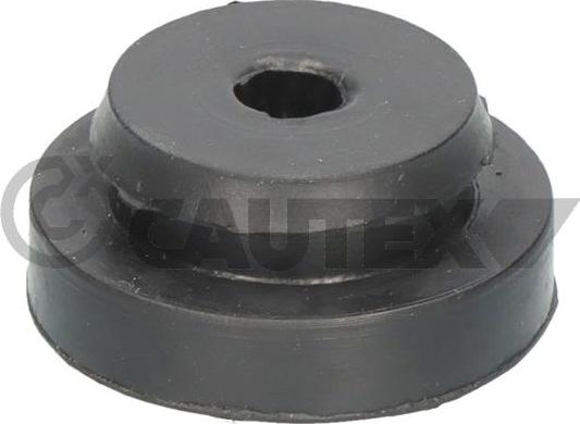 Cautex 769066 - Підвіска, радіатор autocars.com.ua