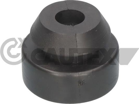 Cautex 769092 - Підвіска, радіатор autocars.com.ua