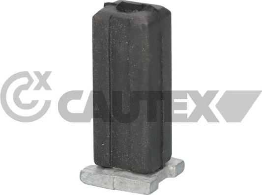 Cautex 769196 - Підвіска, радіатор autocars.com.ua