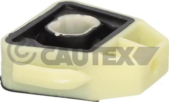 Cautex 769200 - Підвіска, радіатор autocars.com.ua