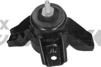 Cautex 769237 - Подушка, підвіска двигуна autocars.com.ua