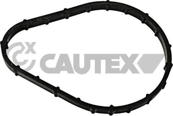 Cautex 769250 - Прокладка, термостат autocars.com.ua