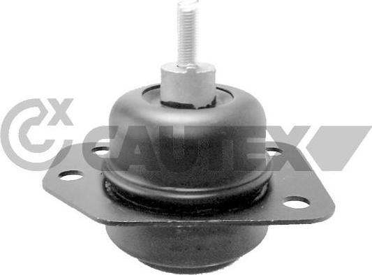 Cautex 769591 - Подушка, підвіска двигуна autocars.com.ua