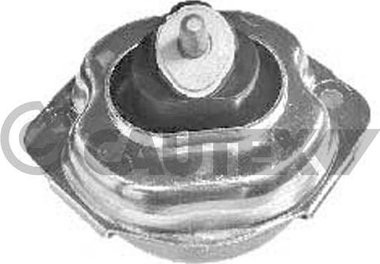 Cautex 769969 - Подушка, підвіска двигуна autocars.com.ua