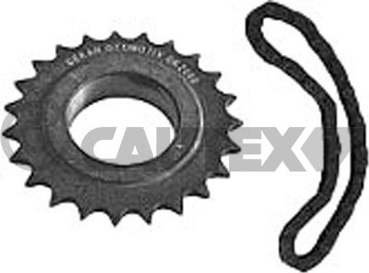 Cautex 771166 - Комплект ланцюга, привід масляного насоса autocars.com.ua