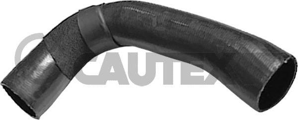 Cautex 771260 - Трубка нагнітається повітря autocars.com.ua