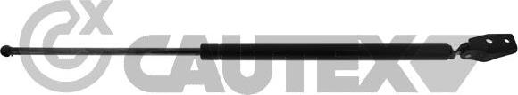 Cautex 773024 - Газова пружина, кришка багажник autocars.com.ua