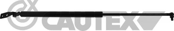 Cautex 773103 - Газова пружина, кришка багажник autocars.com.ua