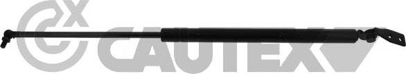 Cautex 773163 - Газова пружина, кришка багажник autocars.com.ua