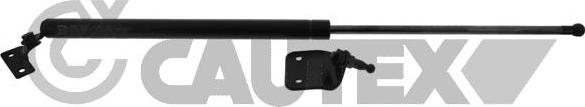 Cautex 773469 - Газова пружина, кришка багажник autocars.com.ua