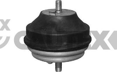 Cautex 773489 - Подушка, підвіска двигуна autocars.com.ua