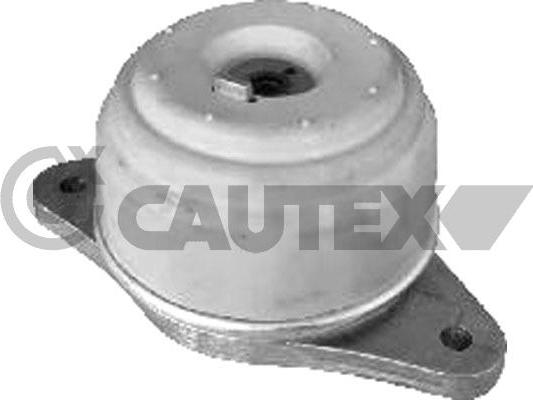 Cautex 773739 - Подушка, підвіска двигуна autocars.com.ua