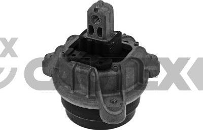 Cautex 775842 - Подушка, підвіска двигуна autocars.com.ua