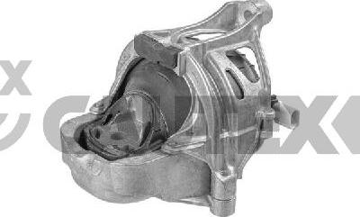 Cautex 775996 - Подушка, підвіска двигуна autocars.com.ua