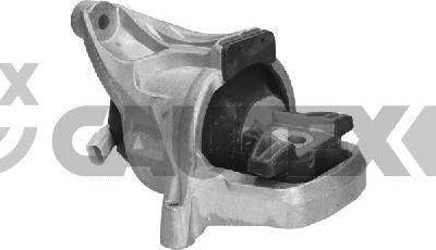 Cautex 776163 - Подушка, підвіска двигуна autocars.com.ua