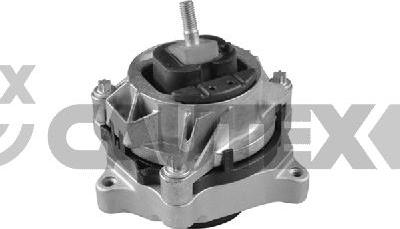 Cautex 776197 - Подушка, підвіска двигуна autocars.com.ua