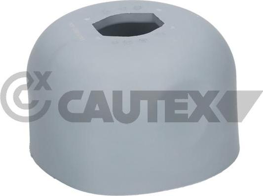 Cautex 776490 - Подушка, підвіска двигуна autocars.com.ua