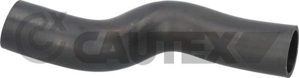 Cautex 776601 - Шланг радіатора autocars.com.ua