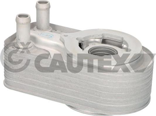 Cautex 776683 - Масляний радіатор, рухове масло autocars.com.ua