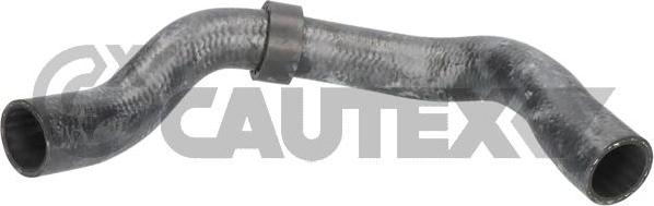Cautex 776772 - Шланг радіатора autocars.com.ua