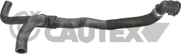 Cautex 776816 - Шланг радіатора autocars.com.ua