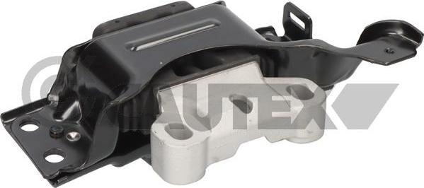 Cautex 777698 - Подушка, підвіска двигуна autocars.com.ua