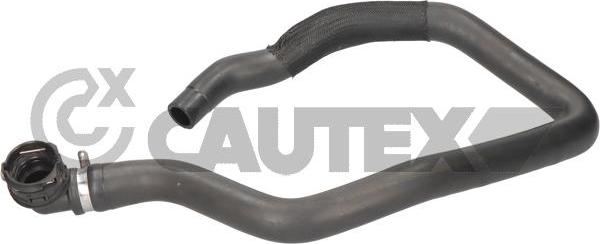 Cautex 777798 - Шланг радіатора autocars.com.ua