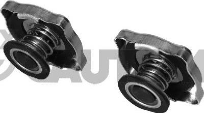 Cautex 954076 - Кришка, радіатор autocars.com.ua