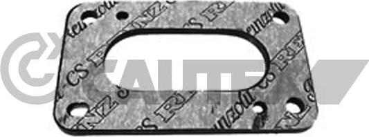 Cautex 957013 - Фланець, карбюратор autocars.com.ua