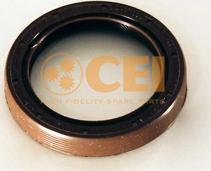 C.E.I. 139746 - Уплотняющее кольцо, ступенчатая коробка передач avtokuzovplus.com.ua