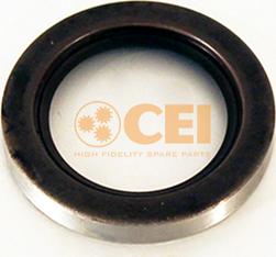 C.E.I. 139909 - Уплотняющее кольцо, ступенчатая коробка передач avtokuzovplus.com.ua