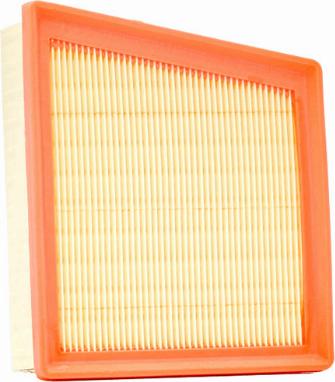 Champion CAF100976P - Повітряний фільтр autocars.com.ua