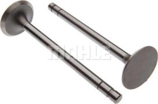 Clevite 211-3316 - Випускний клапан autocars.com.ua