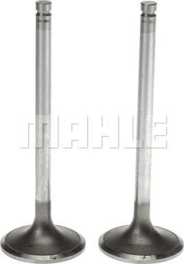 Clevite 211-3203 - Впускний клапан autocars.com.ua