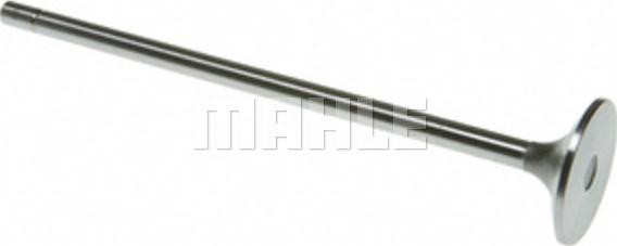 Clevite 211-3313 - Випускний клапан autocars.com.ua