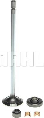 Clevite 211-3345K - Впускний клапан autocars.com.ua