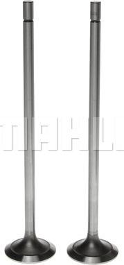 Clevite 211-3345 - Впускний клапан autocars.com.ua