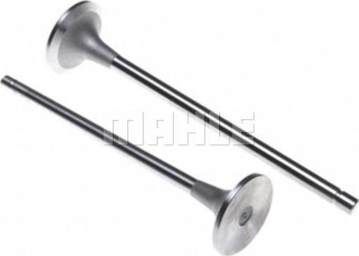 Clevite 211-4283 - Впускний клапан autocars.com.ua