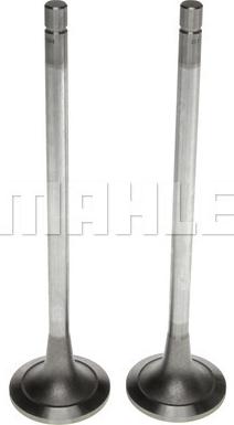 Clevite 211-4284 - Впускний клапан autocars.com.ua