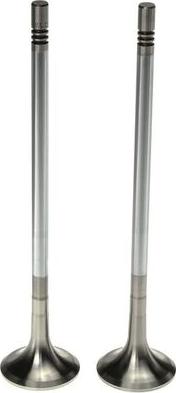 Clevite 211-4308 - Випускний клапан autocars.com.ua