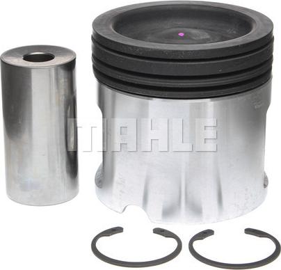 Clevite 224-3910 - Поршень autocars.com.ua