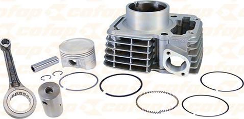 COFAP MK41008 - Окрема частина двигуна autocars.com.ua