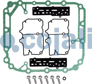 Cojali 6012219 - Ремкомплект autocars.com.ua