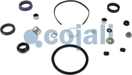 Cojali 6034022 - Ремкомплект, підсилювач приводу зчеплення autocars.com.ua
