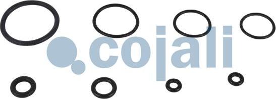 Cojali 6034022 - Ремкомплект, підсилювач приводу зчеплення autocars.com.ua