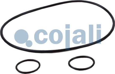 Cojali 6034028 - Ремкомплект, підсилювач приводу зчеплення autocars.com.ua
